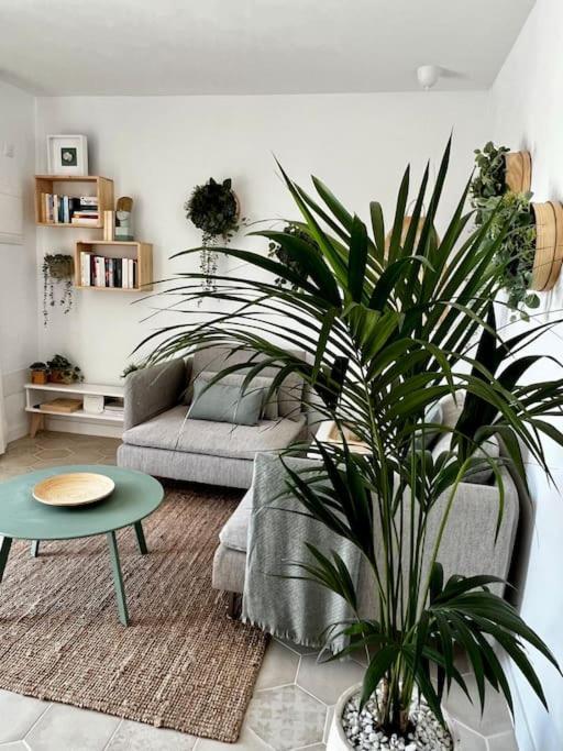 Lovely Casita Jade Плая Бланка Екстериор снимка